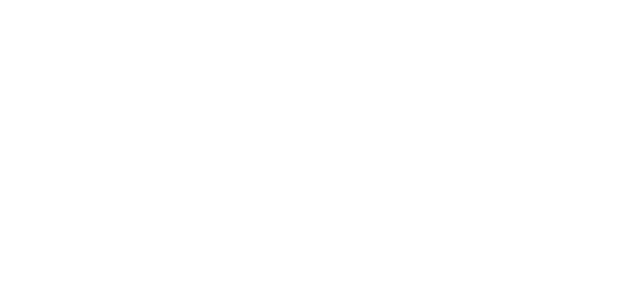 Ott Logo White